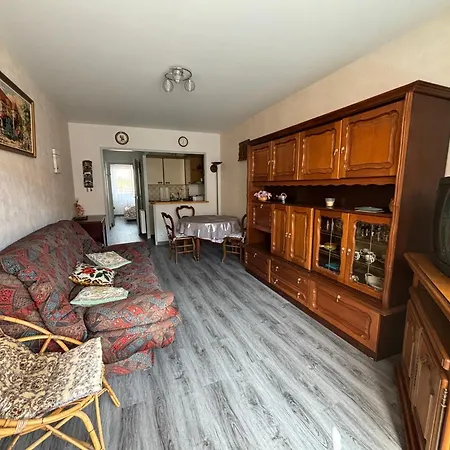 Confortable A 100m De La Plage, Centre-ville - Fr-1-197-593 Daire *