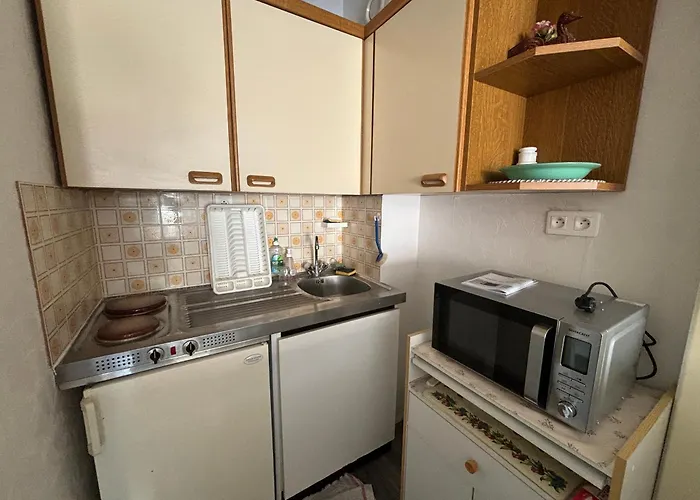 公寓 Confortable A 100m De La Plage, Centre-ville - Fr-1-197-593 *