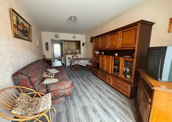 Confortable A 100m De La Plage, Centre-ville - Fr-1-197-593 公寓 *